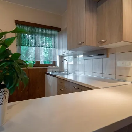Apartment Gorica